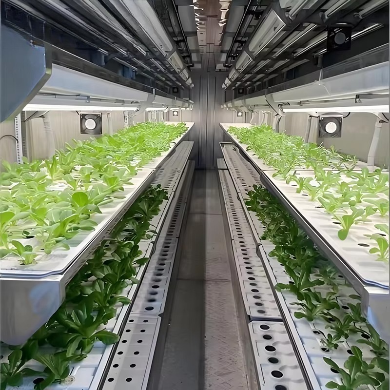 Smart Planting Container Verti - Urban Farming Hydroponics ulasan dan harga