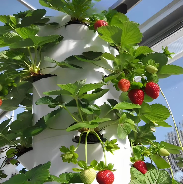 Modular hydroponic growth wall - Urban Farming Hydroponics ulasan dan harga
