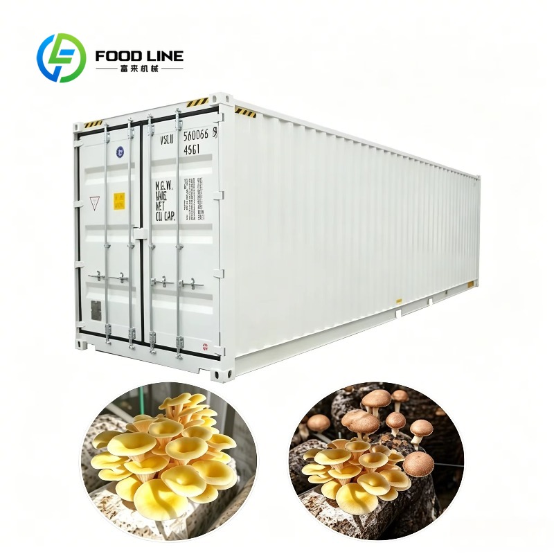 Hydroponic Container Farm with - Urban Farming Hydroponics ulasan dan harga