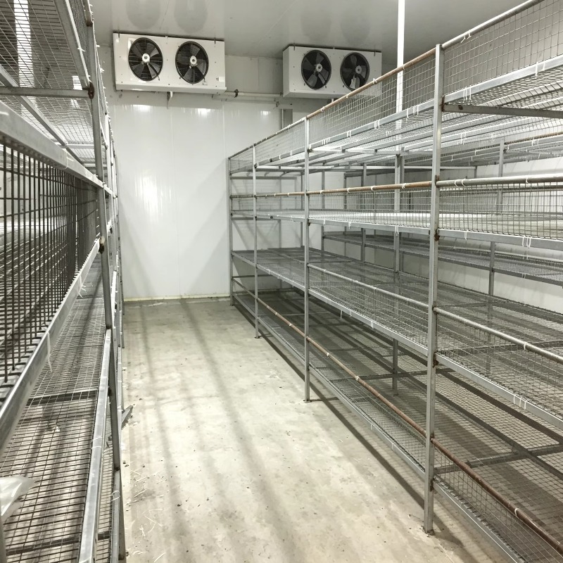 Hydroponic Container Farm with - Urban Farming Hydroponics ulasan dan harga