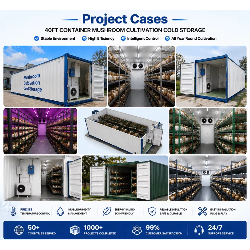 Hydroponic Container Farm with - Urban Farming Hydroponics ulasan dan harga